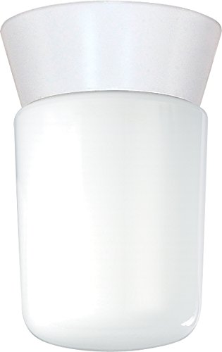 Algopix Similar Product 6 - Nuvo Lighting SF77533 Utility Fixture