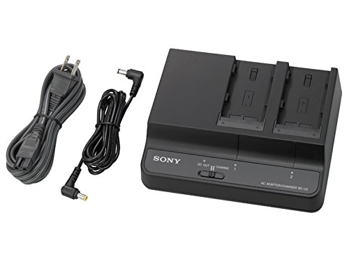 Algopix Similar Product 8 - Sony BCU2A 2Slot ChargerAC Adapter