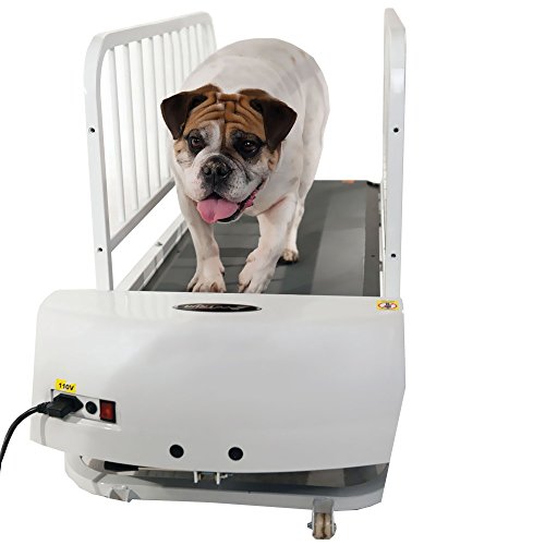 Algopix Similar Product 11 - MFR DISCONTINUED 061617 GoPet Treadmill