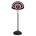 Algopix Similar Product 19 - Lifetime Youth Basketball Hoop