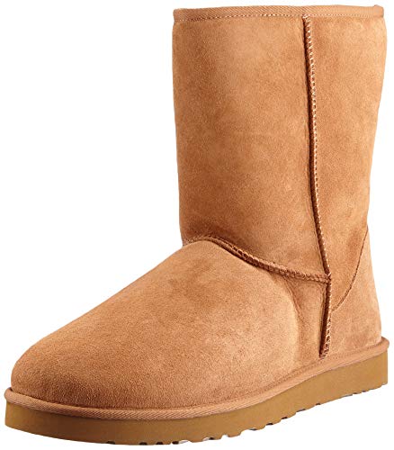 Algopix Similar Product 5 - UGG Mens Classic Short Chestnut