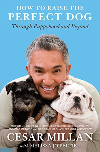Algopix Similar Product 13 - How to Raise the Perfect Dog Through