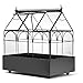 Algopix Similar Product 2 - H Potter Glass Terrarium Plants