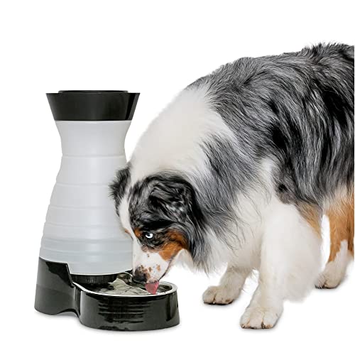Algopix Similar Product 12 - PetSafe Healthy Pet Water Station 