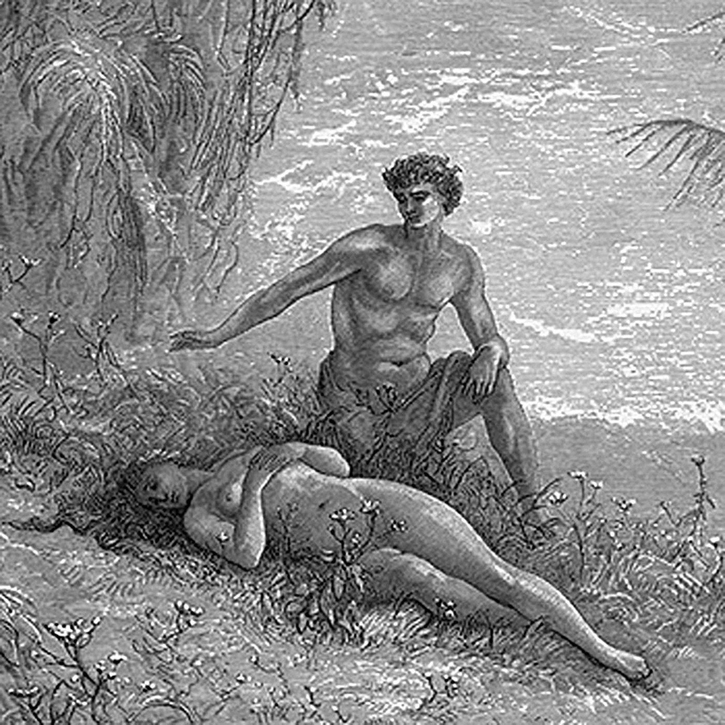 Algopix Similar Product 3 - Paradise Lost