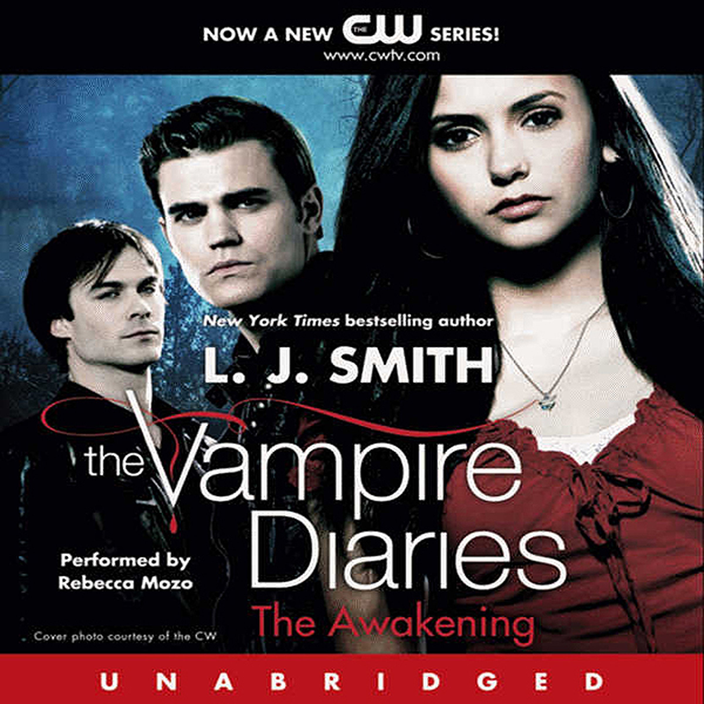 Algopix Similar Product 13 - The Vampire Diaries Book 1 The