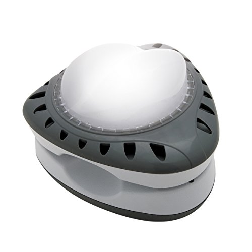 Algopix Similar Product 6 - Intex LED Pool Wall Light, 110-120V