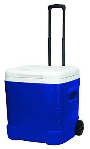 Algopix Similar Product 8 - Igloo Ice Cube 60 Roller Cool Box - Blue
