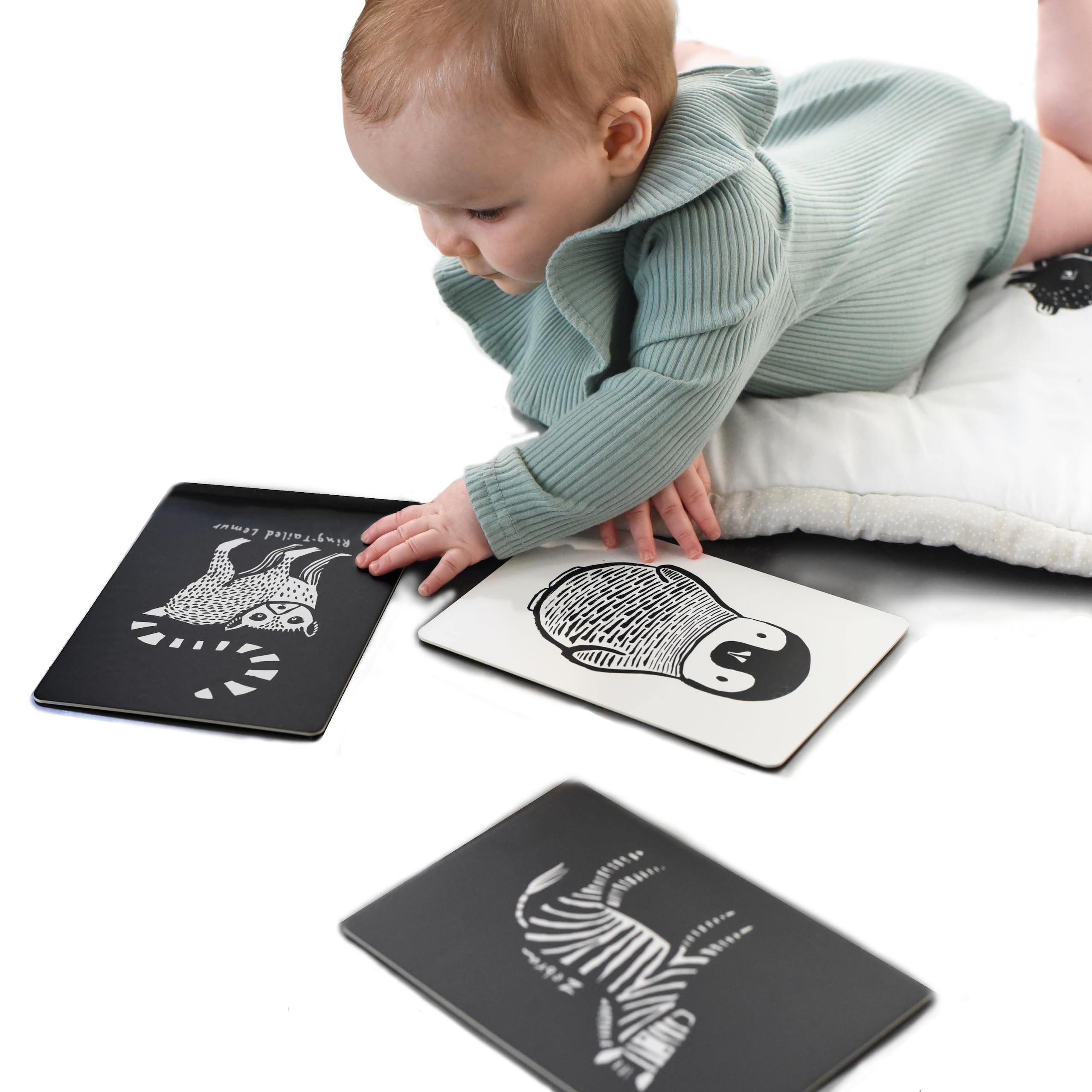 Algopix Similar Product 5 - Wee Gallery Art Cards for Baby Durable