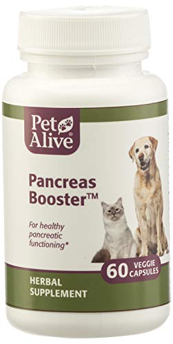 Algopix Similar Product 4 - PetAlive Pancreas Booster  All Natural