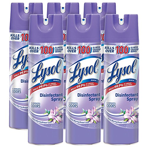 Algopix Similar Product 18 - Lysol Disinfectant Spray Early Morning