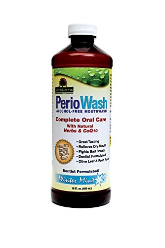 Algopix Similar Product 5 - Natures Answer Mouthwash Wntrmnt