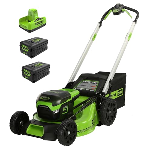 Algopix Similar Product 16 - Greenworks 12 Amp 20 Corded Lawn