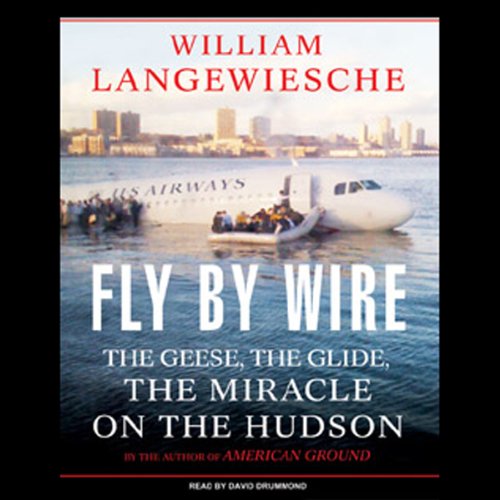 Algopix Similar Product 3 - Fly by Wire The Geese the Glide the