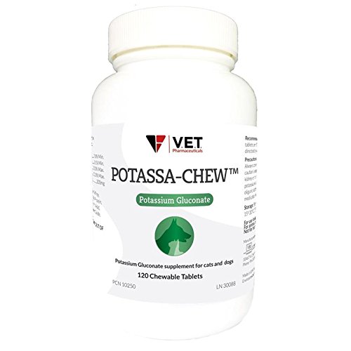 Algopix Similar Product 11 - PotassaChew  Chewable Potassium