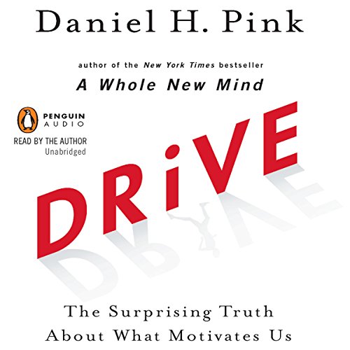 Algopix Similar Product 19 - Drive The Surprising Truth About What