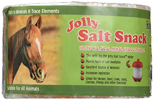 Algopix Similar Product 8 - Jolly Stall Snack Refill Salt