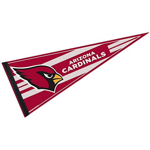 Algopix Similar Product 2 - WinCraft NFL Arizona Cardinals