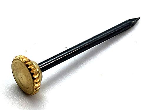 Algopix Similar Product 9 - X Hooks Blister Brass Headed Pin