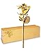 Algopix Similar Product 1 - Forever Rose 24K Gold Dipped Real Rose