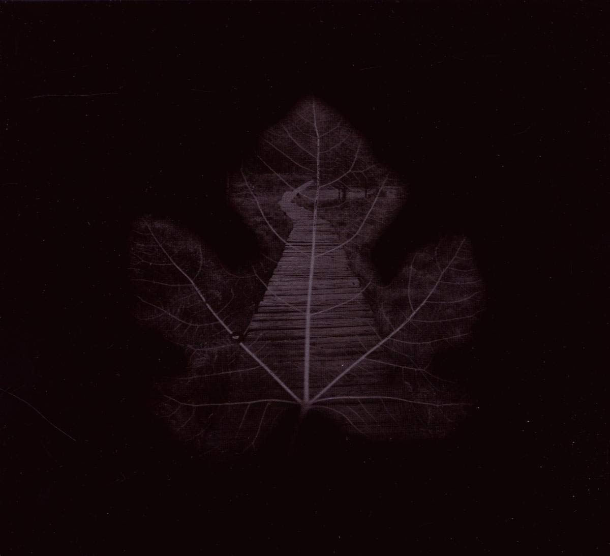 Algopix Similar Product 9 - Nebel Der Erinnerungen