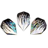 Algopix Similar Product 13 - HUDORA Hologram Replacement Flight