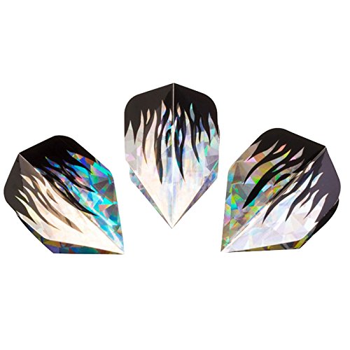 Algopix Similar Product 13 - HUDORA Hologram Replacement Flight