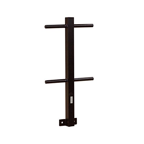 Algopix Similar Product 19 - BodySolid GWT4 Standard Weight Tree