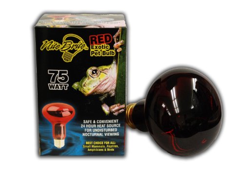Algopix Similar Product 15 - PQL NiteBrite Red Exotic Pet Bulb 75