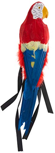 Algopix Similar Product 18 - Smiffys Parrot Prop (Solid)