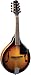 Algopix Similar Product 9 - Savannah SA100 AModel Mandolin