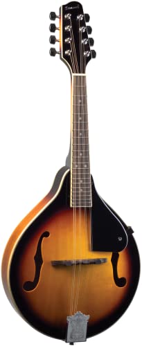 Algopix Similar Product 7 - Savannah SA100 AModel Mandolin