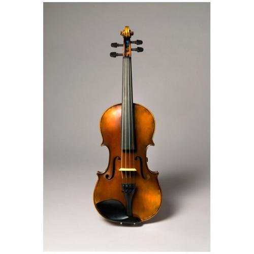 Algopix Similar Product 10 - The Realist RV4 Pro Acoustic Electric