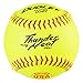 Algopix Similar Product 5 - Dudley USASB Thunder Heat Fastpitch