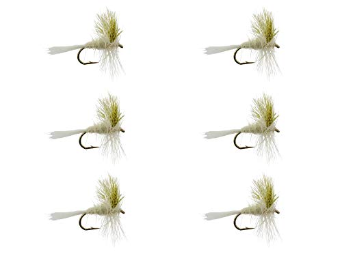 Algopix Similar Product 16 - Wild Water Fly Fishing Light Cahill