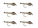 Algopix Similar Product 5 - Wild Water Fly Fishing Gold Ribbed