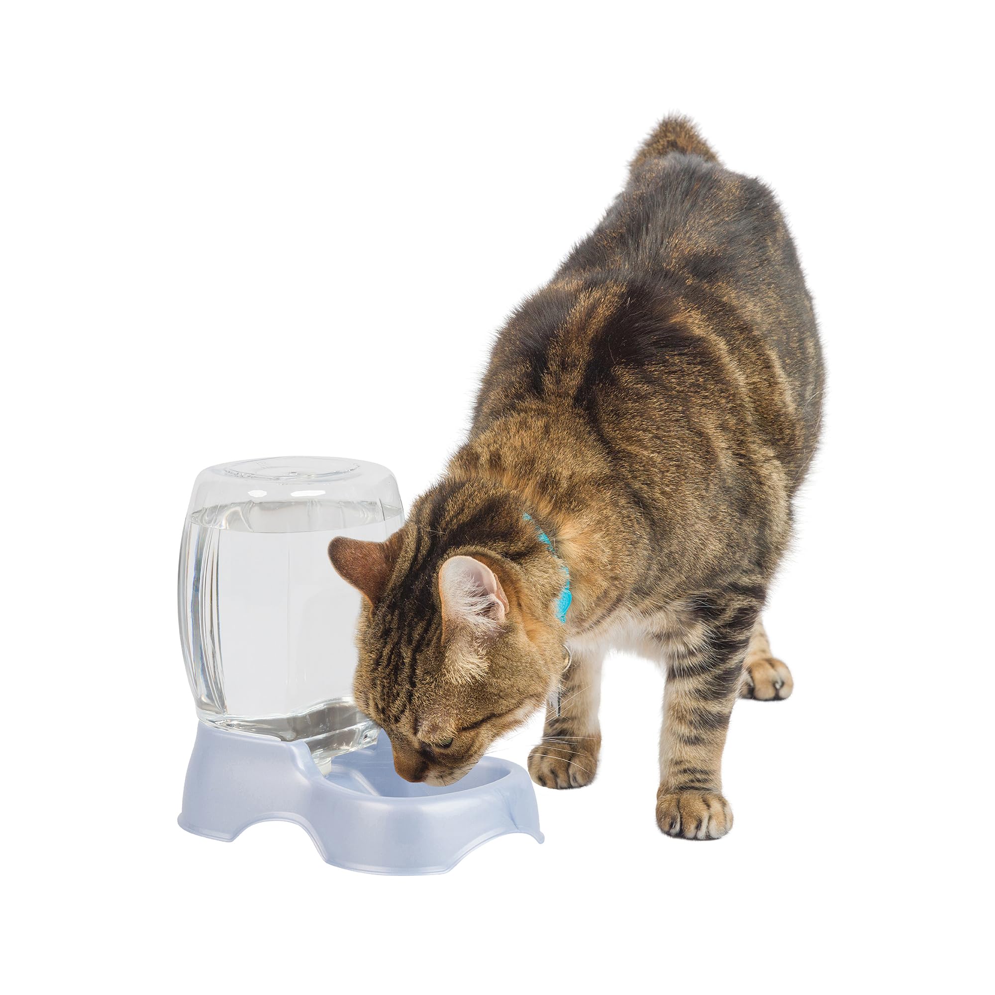 Algopix Similar Product 18 - Petmate Pet Cafe Waterer Cat and Dog