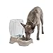 Algopix Similar Product 19 - Petmate Pet Cafe Waterer Cat and Dog
