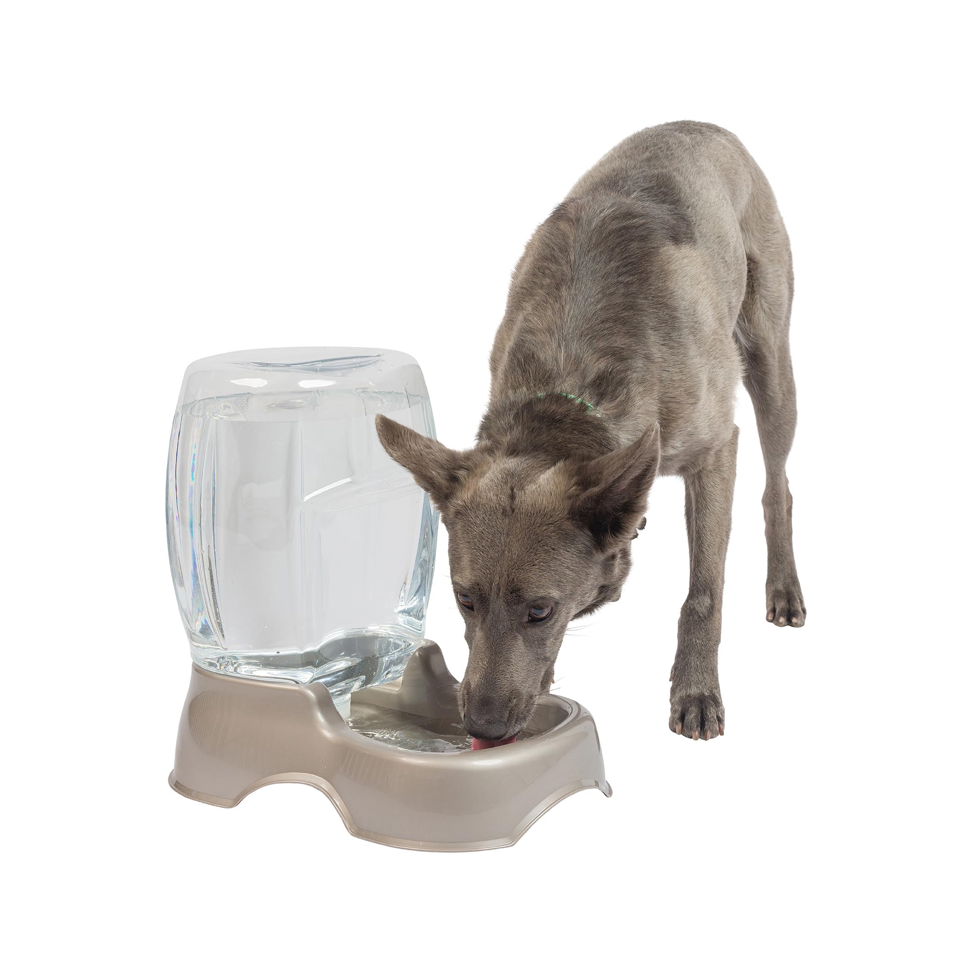 Algopix Similar Product 15 - Petmate Pet Cafe Waterer Cat and Dog