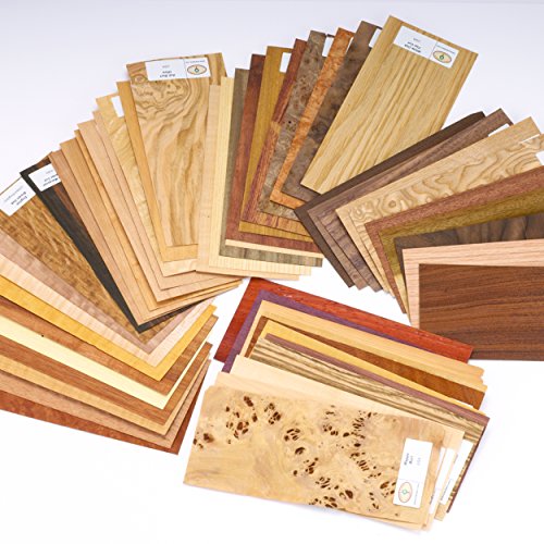 Algopix Similar Product 1 - Sauers Wood Identification Kit