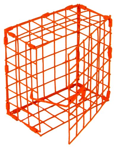 Algopix Similar Product 8 - Protoco Bait Box, Large, 6 X 8 X 3-Inch