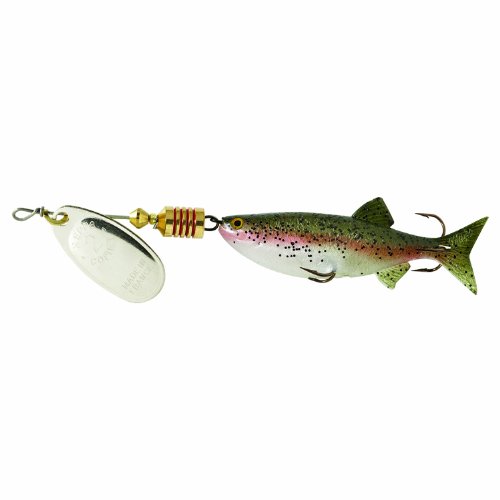Algopix Similar Product 20 - Sheldons Comet  mino SilverRainbow