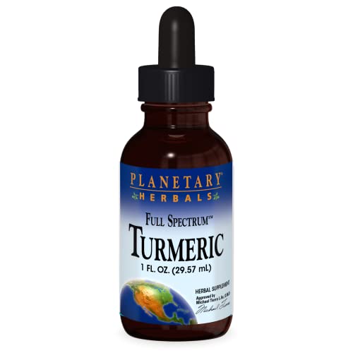Algopix Similar Product 3 - Planetary Herbals Turmeric Liquid Full