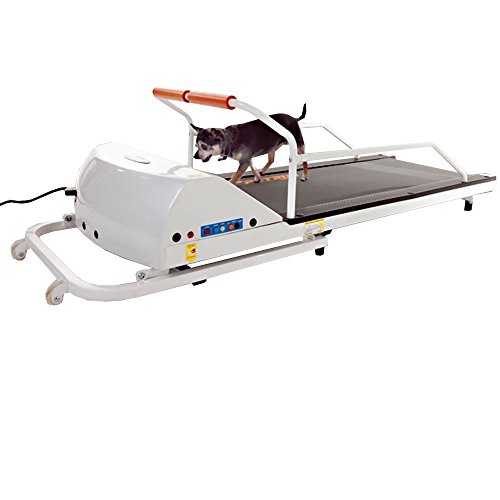 Algopix Similar Product 7 - GoPet Petrun Pr710 Foldable Dog