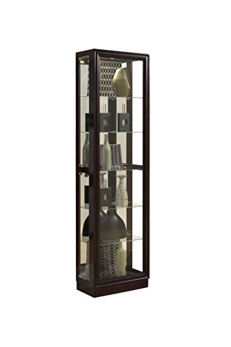 Algopix Similar Product 12 - Pulaski Curio 21 by 11 by 77Inch