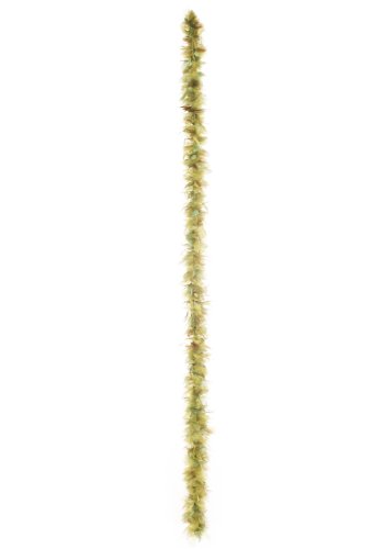 Algopix Similar Product 4 - California Costumes Seaweed Boa Standard