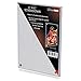 Algopix Similar Product 11 - 1 One UltraPRO StorSafe 4 x 6