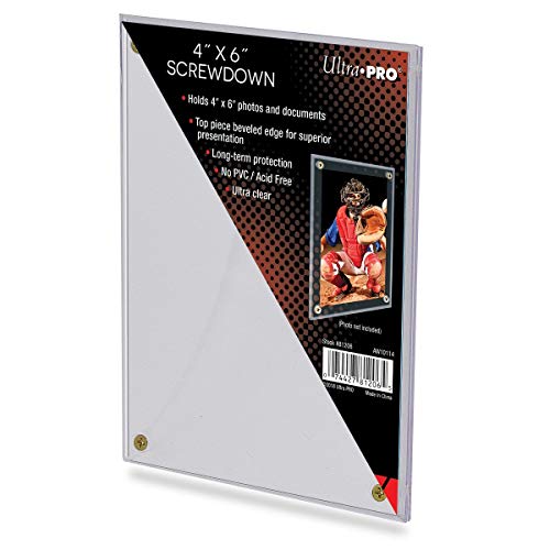 Algopix Similar Product 12 - 1 One UltraPRO StorSafe 4 x 6