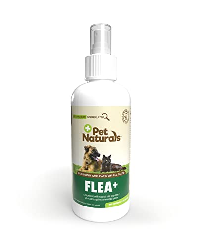 Algopix Similar Product 1 - Pet Naturals Flea and Tick Prevention