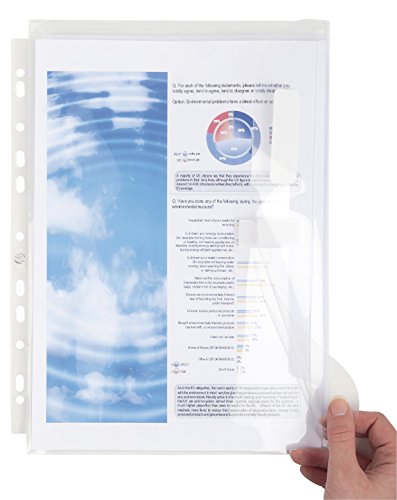 Algopix Similar Product 17 - Exacompta A4 Punched Expanding Pocket